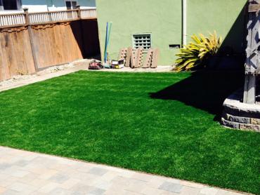 Artificial Grass Photos: Green Lawn Copalis Beach, Washington Landscaping, Small Backyard Ideas