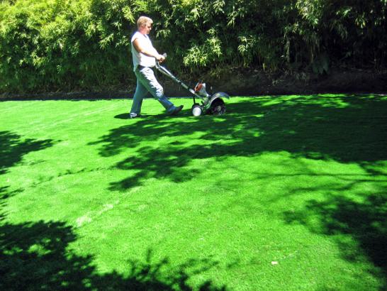 Artificial Grass Photos: Green Lawn Disautel, Washington Lawn And Garden, Backyard
