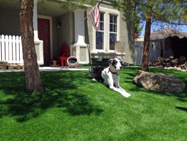 Artificial Grass Photos: Green Lawn Elbe, Washington Lawns, Grass for Dogs