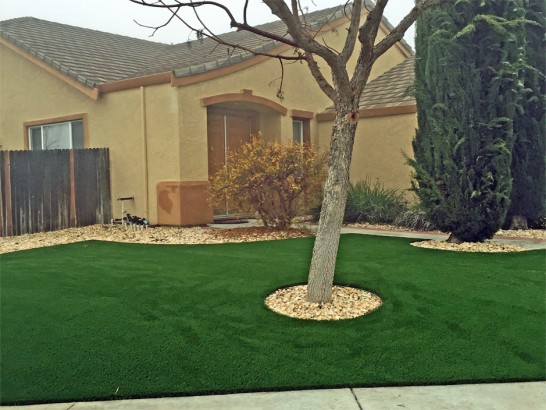 Artificial Grass Photos: Green Lawn Jamestown, Washington Landscape Ideas, Front Yard Design