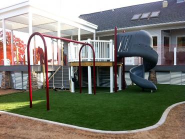 Artificial Grass Photos: Green Lawn North Puyallup, Washington Landscaping, Backyard Landscaping Ideas