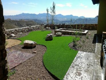 Artificial Grass Photos: Green Lawn Sudden Valley, Washington Dog Run, Backyard Landscaping