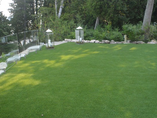 Artificial Grass Photos: Green Lawn Sudden Valley, Washington Design Ideas, Backyard Design