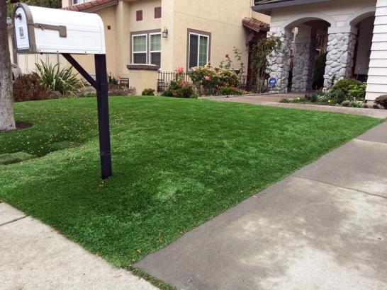 Artificial Grass Photos: Green Lawn Wauna, Washington Landscape Photos, Front Yard Landscape Ideas