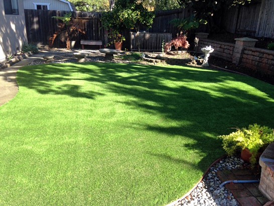 Artificial Grass Photos: How To Install Artificial Grass Blyn, Washington Dogs, Backyard Landscape Ideas