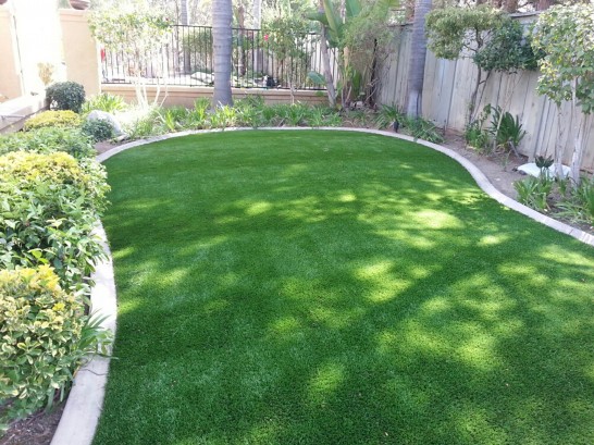 Artificial Grass Photos: How To Install Artificial Grass Bucoda, Washington Backyard Deck Ideas