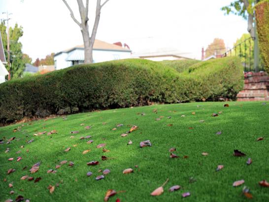Artificial Grass Photos: How To Install Artificial Grass Carnation, Washington Roof Top, Front Yard Design