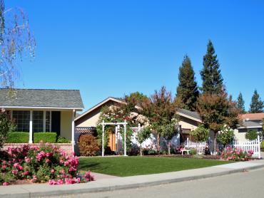 Artificial Grass Photos: How To Install Artificial Grass Conconully, Washington Gardeners, Front Yard Ideas