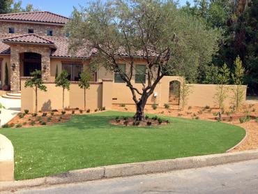 Artificial Grass Photos: How To Install Artificial Grass Custer, Washington City Landscape, Small Front Yard Landscaping