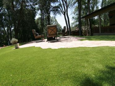 Artificial Grass Photos: How To Install Artificial Grass DuPont, Washington Lawns, Small Backyard Ideas