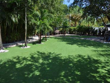 Artificial Grass Photos: How To Install Artificial Grass Freeland, Washington Landscape Ideas, Commercial Landscape