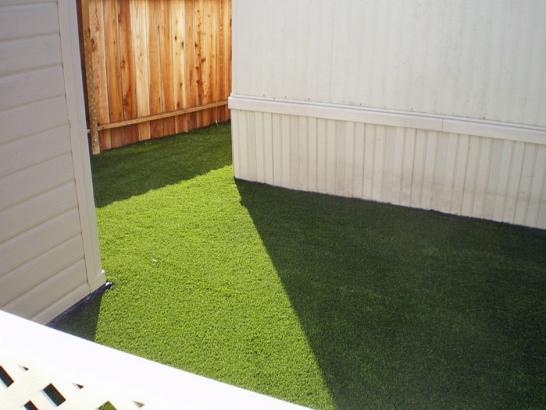 Artificial Grass Photos: How To Install Artificial Grass Monroe, Washington Gardeners, Backyard