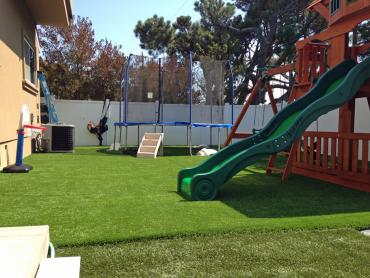 Artificial Grass Photos: How To Install Artificial Grass Sisco Heights, Washington Landscaping Business, Backyard Landscape Ideas