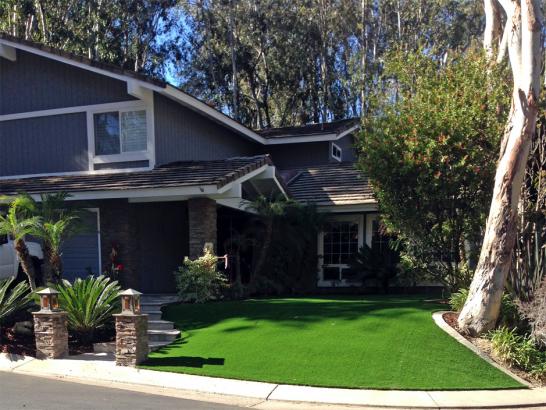 Artificial Grass Photos: How To Install Artificial Grass West Lake Stevens, Washington Backyard Playground, Front Yard Landscape Ideas