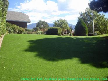 Artificial Grass Photos: Installing Artificial Grass Bellevue, Washington Lawn And Landscape, Backyard Landscaping