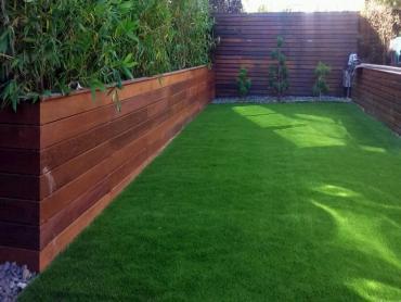 Artificial Grass Photos: Installing Artificial Grass Carlsborg, Washington Landscaping, Backyard Garden Ideas