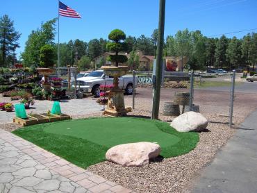 Artificial Grass Photos: Installing Artificial Grass Lake Ketchum, Washington Best Indoor Putting Green, Commercial Landscape