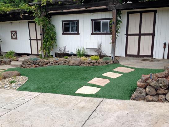 Artificial Grass Photos: Installing Artificial Grass Okanogan, Washington Lawn And Garden, Front Yard Ideas