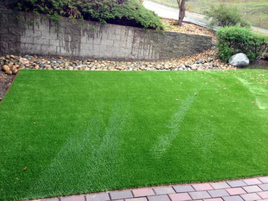 Artificial Grass Photos: Installing Artificial Grass West Richland, Washington Cat Playground, Beautiful Backyards