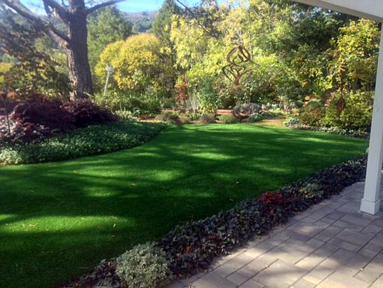 Artificial Grass Photos: Lawn Services Beaux Arts Village, Washington Lawn And Garden, Beautiful Backyards