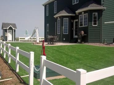 Artificial Grass Photos: Lawn Services Issaquah, Washington, Front Yard Landscaping Ideas