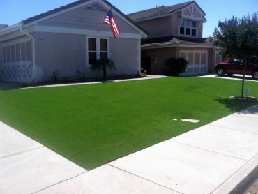 Artificial Grass Photos: Lawn Services May Creek, Washington Landscape Ideas, Landscaping Ideas For Front Yard