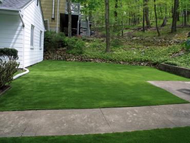 Artificial Grass Photos: Lawn Services Mount Vernon, Washington Roof Top, Front Yard