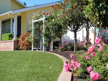 Artificial Grass Photos: Lawn Services Neah Bay, Washington Landscaping Business, Front Yard Ideas