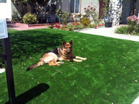 Artificial Grass Photos: Lawn Services Oroville, Washington Roof Top, Small Front Yard Landscaping