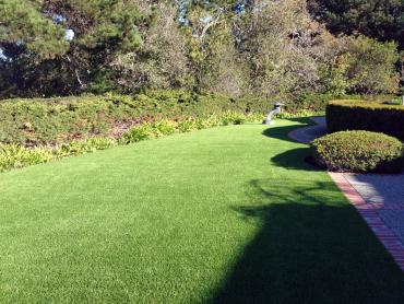 Artificial Grass Photos: Lawn Services Skokomish, Washington Lawn And Landscape, Front Yard Landscaping