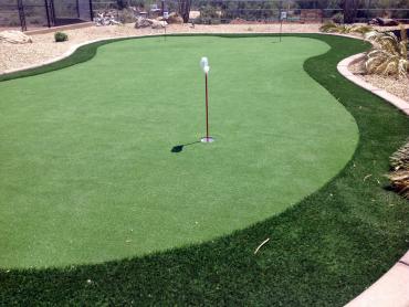 Artificial Grass Photos: Lawn Services Woodland, Washington Diy Putting Green, Backyard