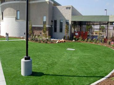 Artificial Grass Photos: Outdoor Carpet Ahtanum, Washington Landscape Design, Commercial Landscape