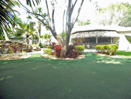 Artificial Grass Photos: Outdoor Carpet Auburn, Washington Artificial Putting Greens, Commercial Landscape