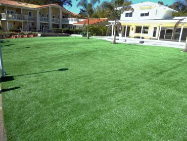 Artificial Grass Photos: Outdoor Carpet Ault Field, Washington Landscaping Business, Swimming Pools