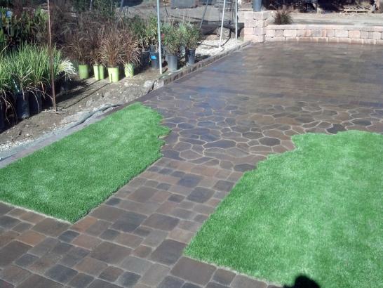 Artificial Grass Photos: Outdoor Carpet Bonney Lake, Washington Design Ideas, Backyards