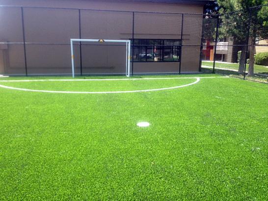 Artificial Grass Photos: Outdoor Carpet Bothell, Washington Sports Athority