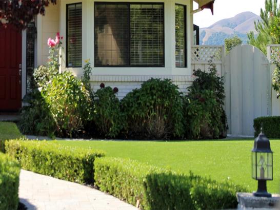 Artificial Grass Photos: Outdoor Carpet Dallesport, Washington Roof Top, Front Yard Landscaping