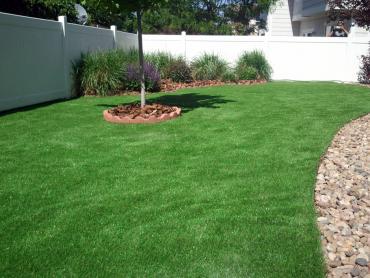 Artificial Grass Photos: Outdoor Carpet Esperance, Washington Backyard Deck Ideas, Backyard Designs