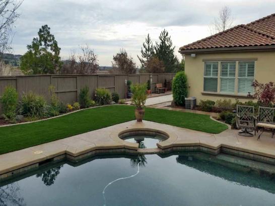 Artificial Grass Photos: Outdoor Carpet Lakewood, Washington Garden Ideas, Backyard Ideas