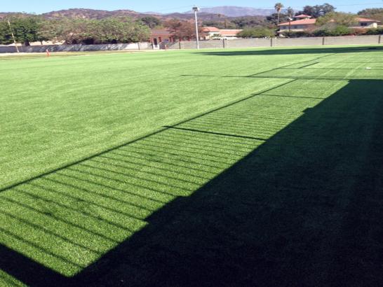 Artificial Grass Photos: Outdoor Carpet Lynnwood, Washington Rooftop