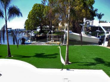 Artificial Grass Photos: Outdoor Carpet Manchester, Washington Backyard Deck Ideas, Backyard Ideas