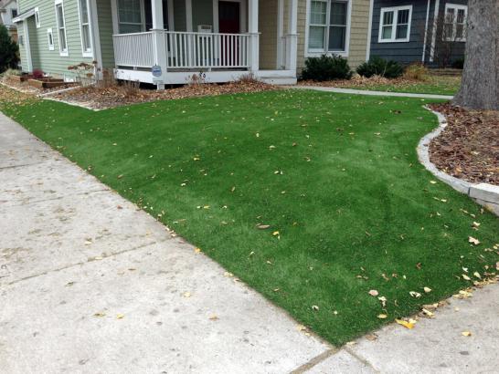 Artificial Grass Photos: Outdoor Carpet North Omak, Washington Landscape Design, Front Yard Landscaping