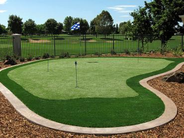 Artificial Grass Photos: Outdoor Carpet Ocean Shores, Washington Office Putting Green, Backyard Ideas