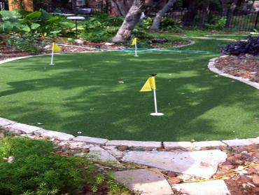 Artificial Grass Photos: Outdoor Carpet Ruston, Washington City Landscape, Backyard Landscaping