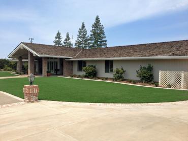 Artificial Grass Photos: Outdoor Carpet South Hill, Washington Lawn And Garden, Front Yard Design