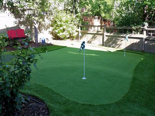 Artificial Grass Photos: Outdoor Carpet Spanaway, Washington Office Putting Green, Backyard Landscaping Ideas