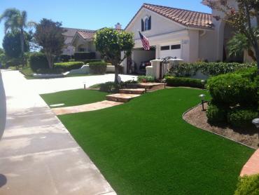 Artificial Grass Photos: Outdoor Carpet Stimson Crossing, Washington Landscaping, Front Yard Landscaping Ideas