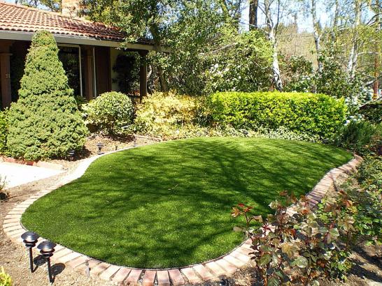 Artificial Grass Photos: Outdoor Carpet Three Lakes, Washington Backyard Playground, Backyard Landscaping Ideas