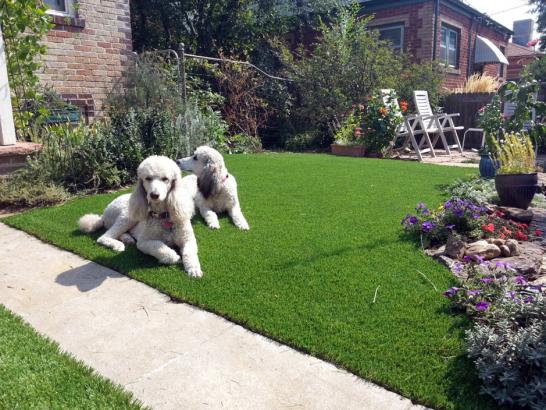 Artificial Grass Photos: Outdoor Carpet Tonasket, Washington Grass For Dogs, Front Yard Landscape Ideas