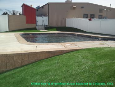 Artificial Grass Photos: Outdoor Carpet Tukwila, Washington Rooftop, Swimming Pool Designs